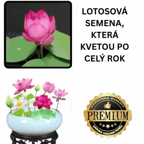 Semena Lotus MysticLotus™